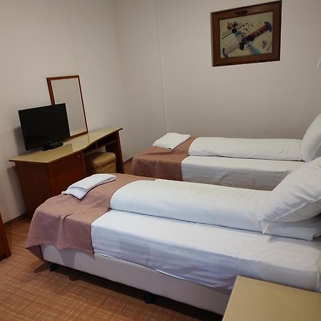 Hotel Dana 2 萨图马雷 外观 照片